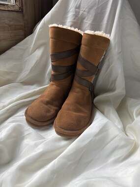 BearPaw
